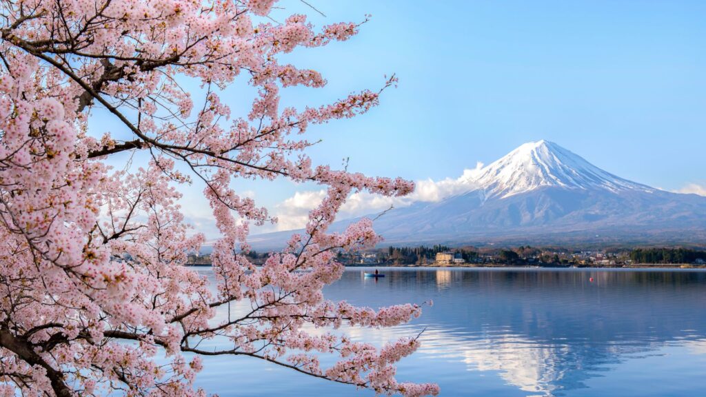 what does chin chin mean in japanese