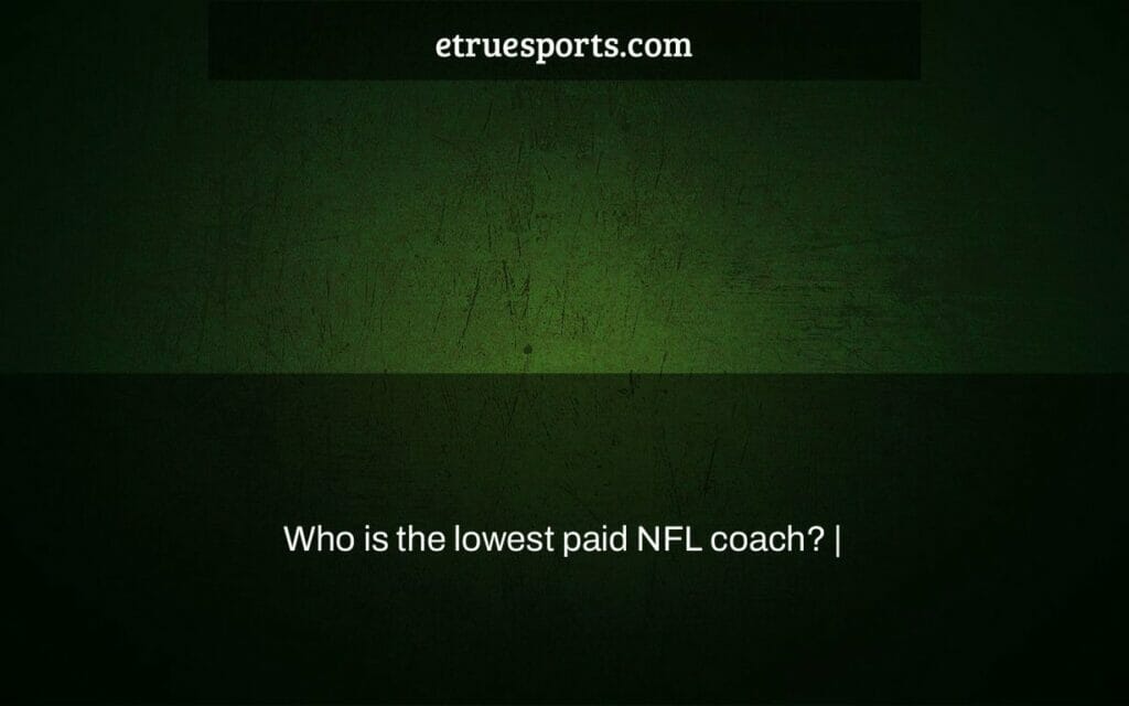 Who Is The Lowest Paid Nfl Coach