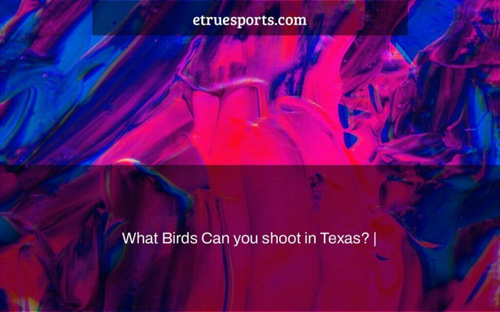 what-birds-can-you-shoot-in-texas-etruesports