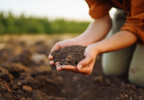 secondary succession occurs in ecosystems without soil.