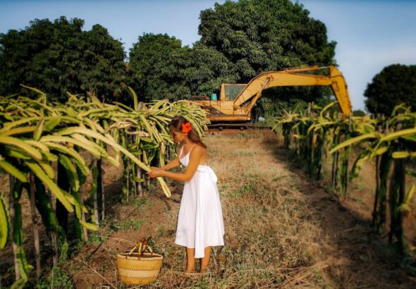 p loses an arm in a farm accident