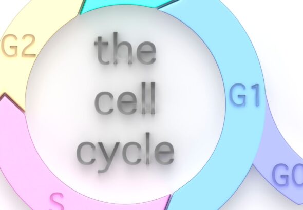 in the diagram below the gray unit represents