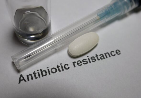 genes for the resistance to antibiotics are usually located _____